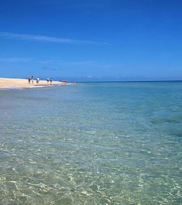 Green Oasis Maspalomas Garden 11 المظهر الخارجي الصورة
